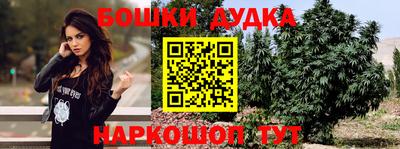 МДПВ Донецк