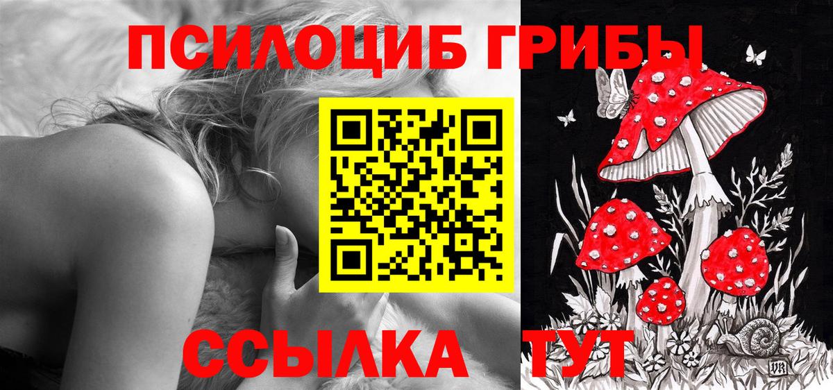 Галлюциногенные грибы мицелий  Вход с VPN  Кириши 