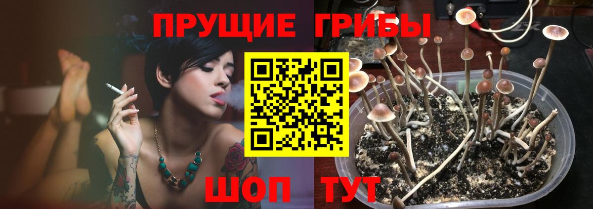 Псилоцибиновые грибы MAGIC MUSHROOMS Кириши
