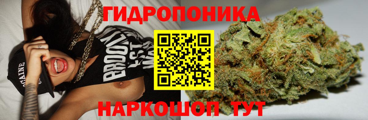 Бошки Шишки OG Kush Кириши