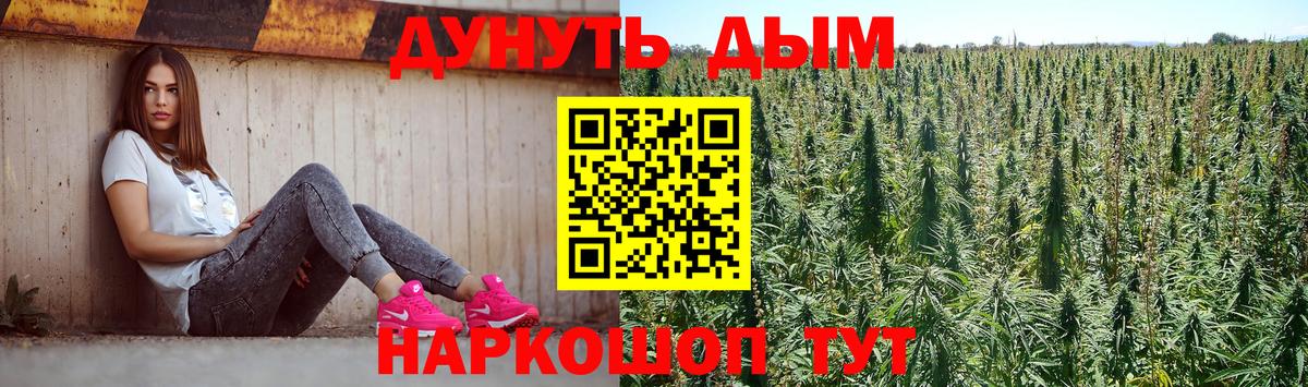 Шишки марихуана конопля  Шишки марихуана конопля  Кириши  Вход с VPN  Бошки Шишки гибрид  Бошки марихуана план 